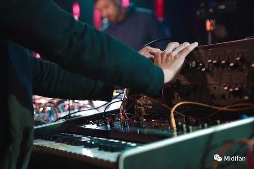 alansex在线视频观看