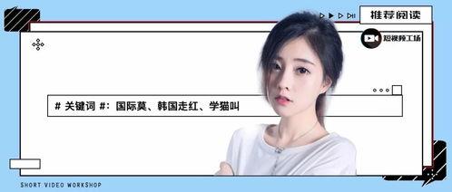 2826韩国在线视频,韩国在线视频的潮流风向标