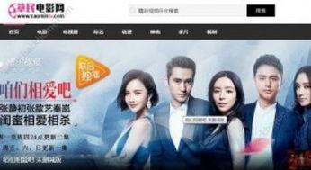 草民午夜限制在线视频,揭秘在线视频限制背后的真相