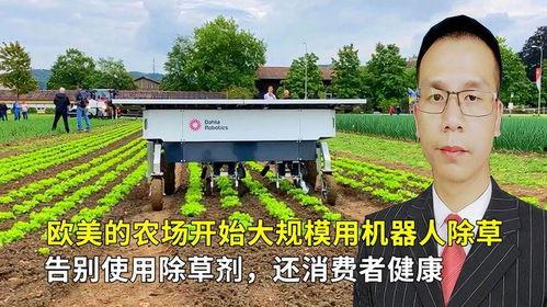 欧美农场在线视频,在线视频带你领略田园风光与农耕智慧