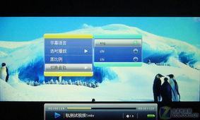 mkoline在线视频,揭秘现代科技与创意融合的艺术之旅