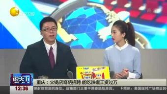 开会奇闻在线视频观看