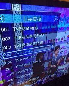 tvb在线视频播放器,畅享海量港剧，轻松追剧新体验