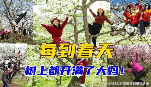 走春天在线视频,走春天在线视频带你领略春日风光